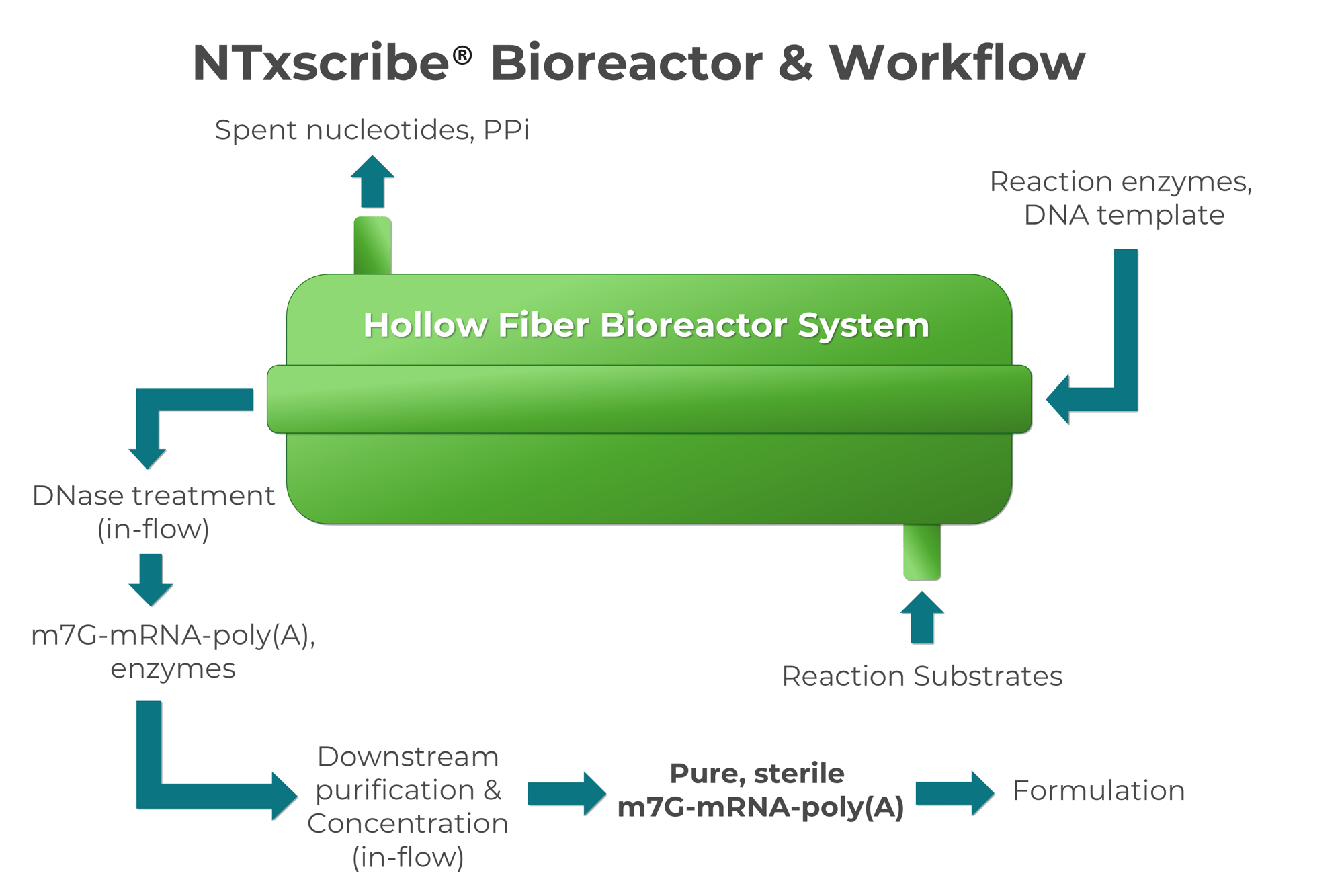 Agility Slide + Bioreactor Image for Website No Background