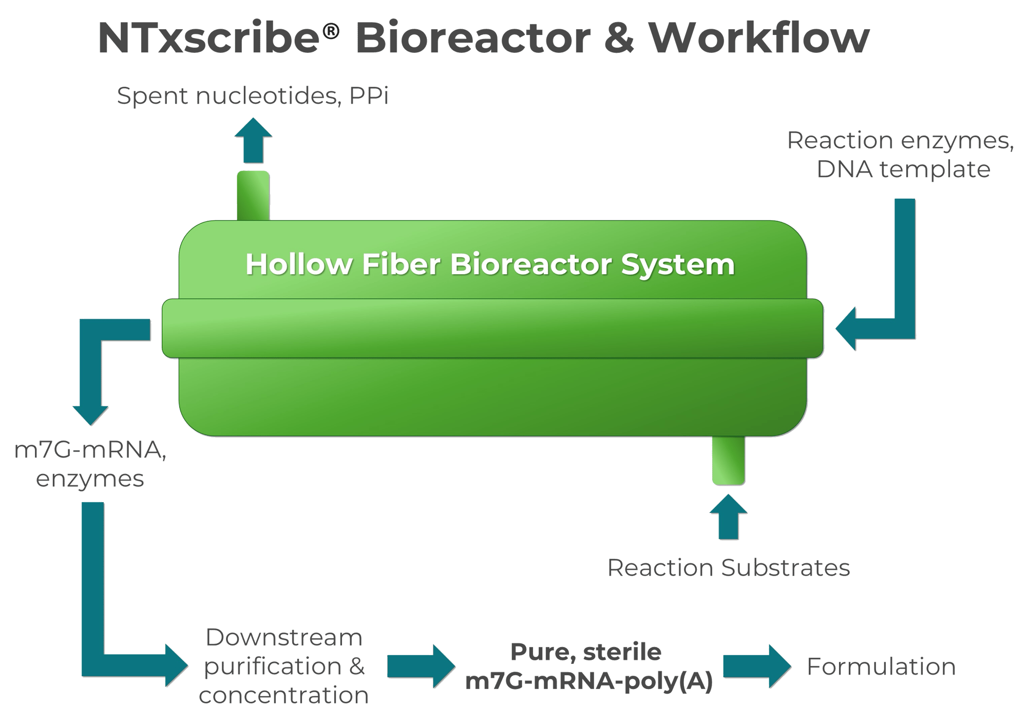 Agility Slide + Bioreactor Image for Website USE ME-1