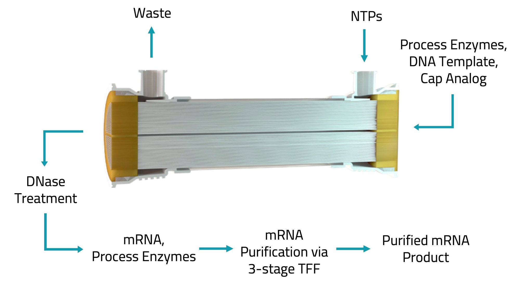 bioreactor-1